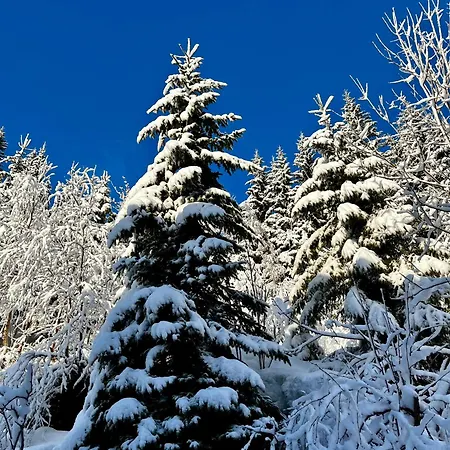 Сasa de vacaciones A Away From Sogndal