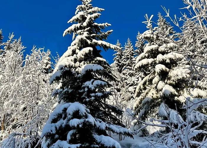 Prázdninový dům A Away From Sogndal