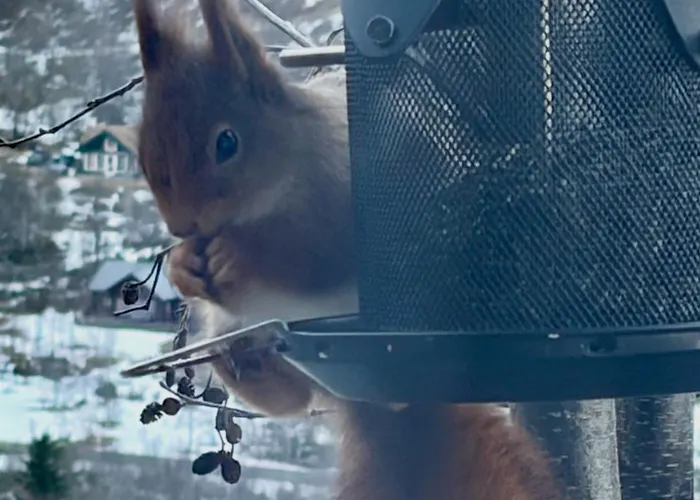 A Away From Semesterbostad *